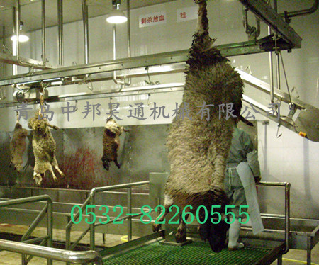 活羊叉腳懸掛
